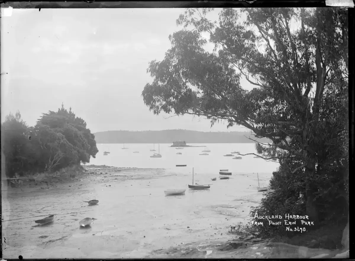 Auckland sailing destination