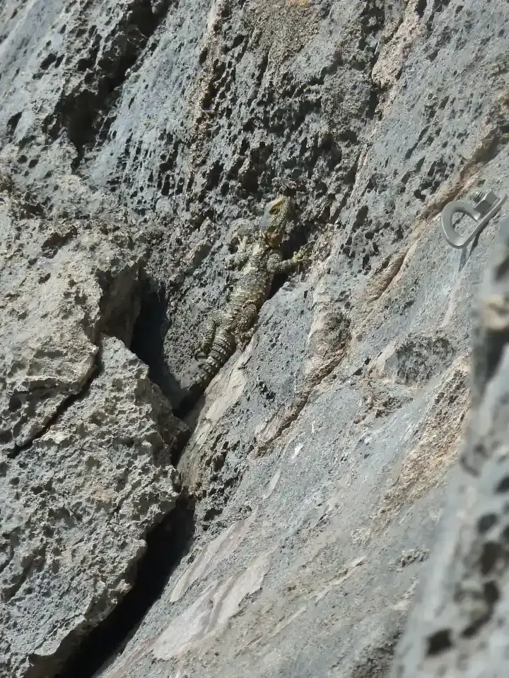 Kalymnos climbing destination