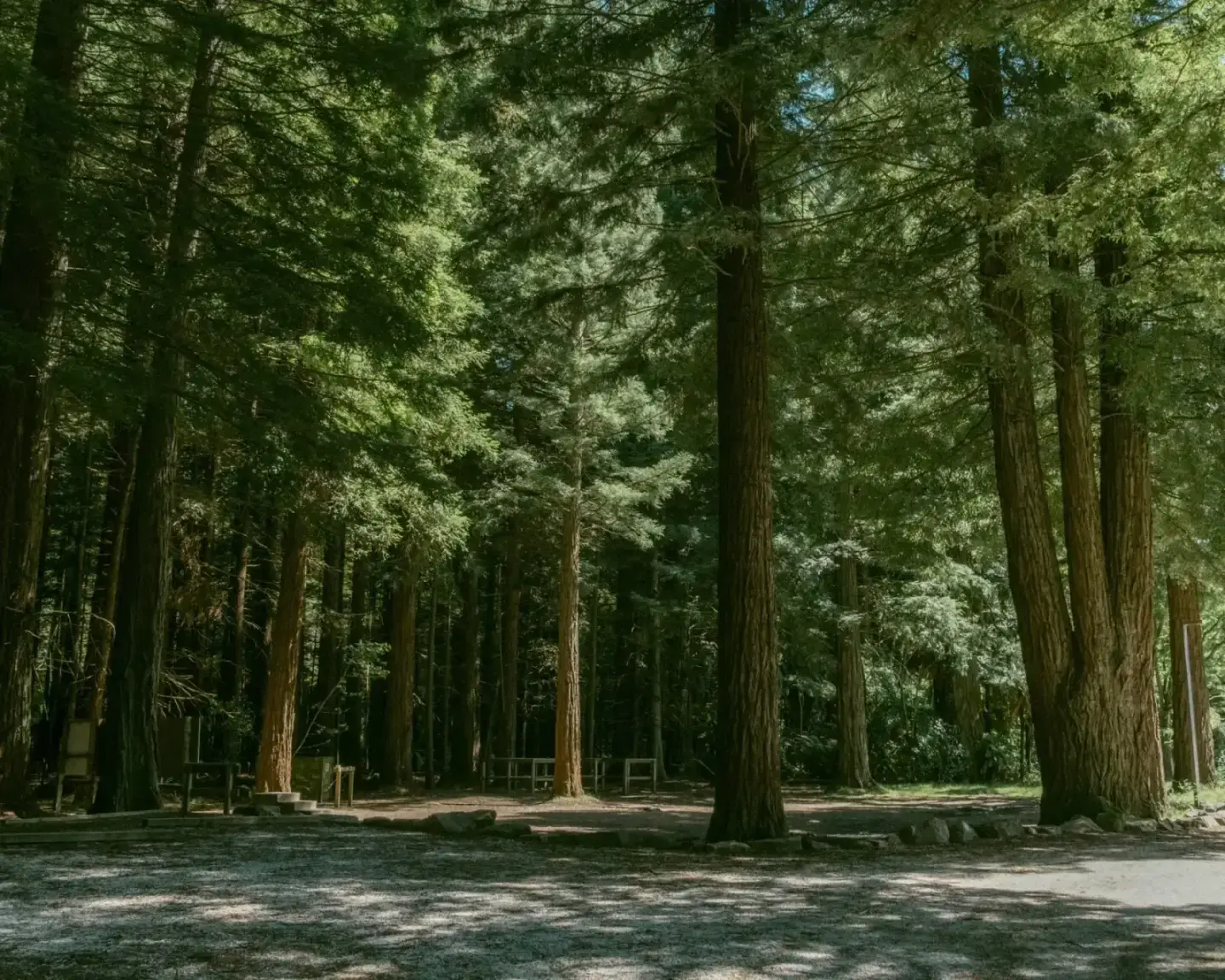 Rotorua - Mountain Biking