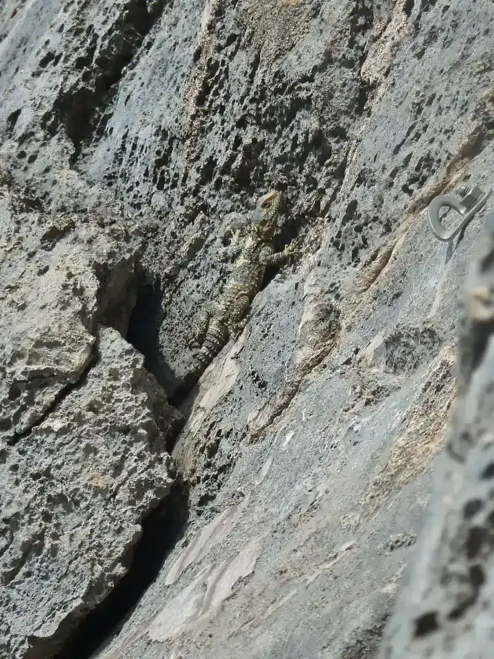 Kalymnos - Rock Climbing