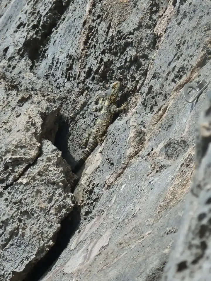 Kalymnos - Rock Climbing