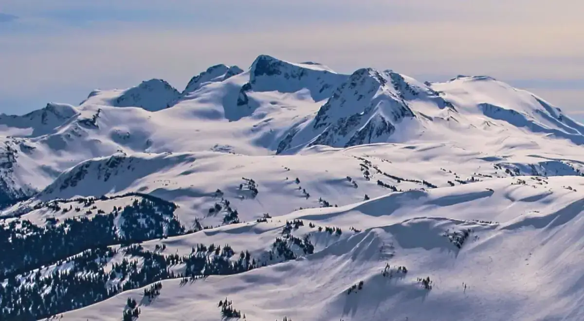 Whistler - Powder Skiing